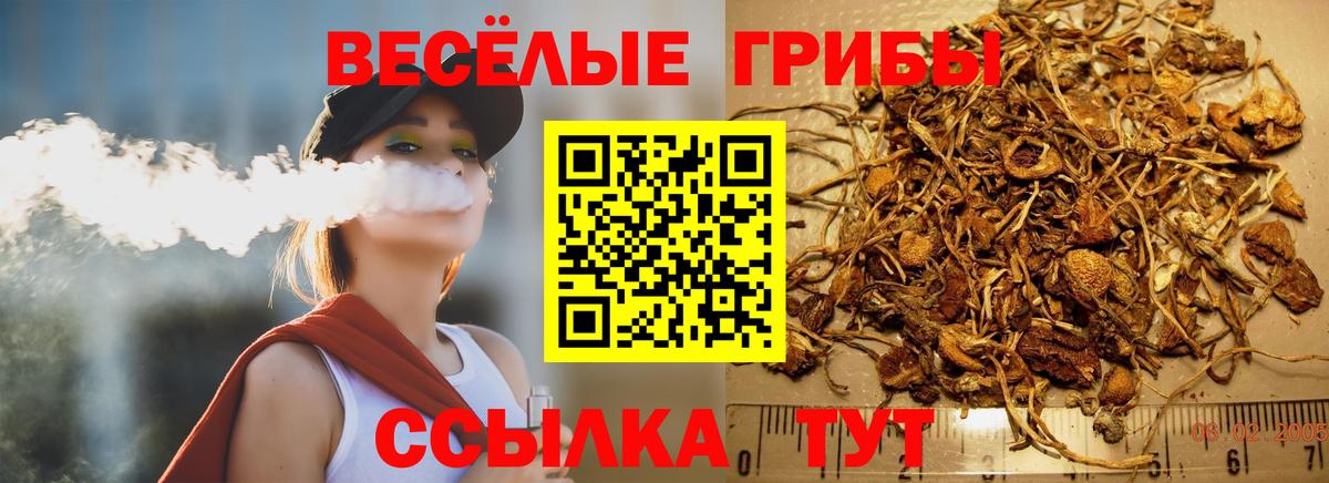 Псилоцибиновые грибы мицелий  Псилоцибиновые грибы Magic Shrooms  Десногорск  Вход с VPN 