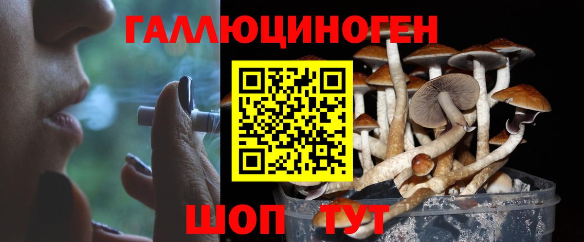 Псилоцибиновые грибы Magic Shrooms Десногорск